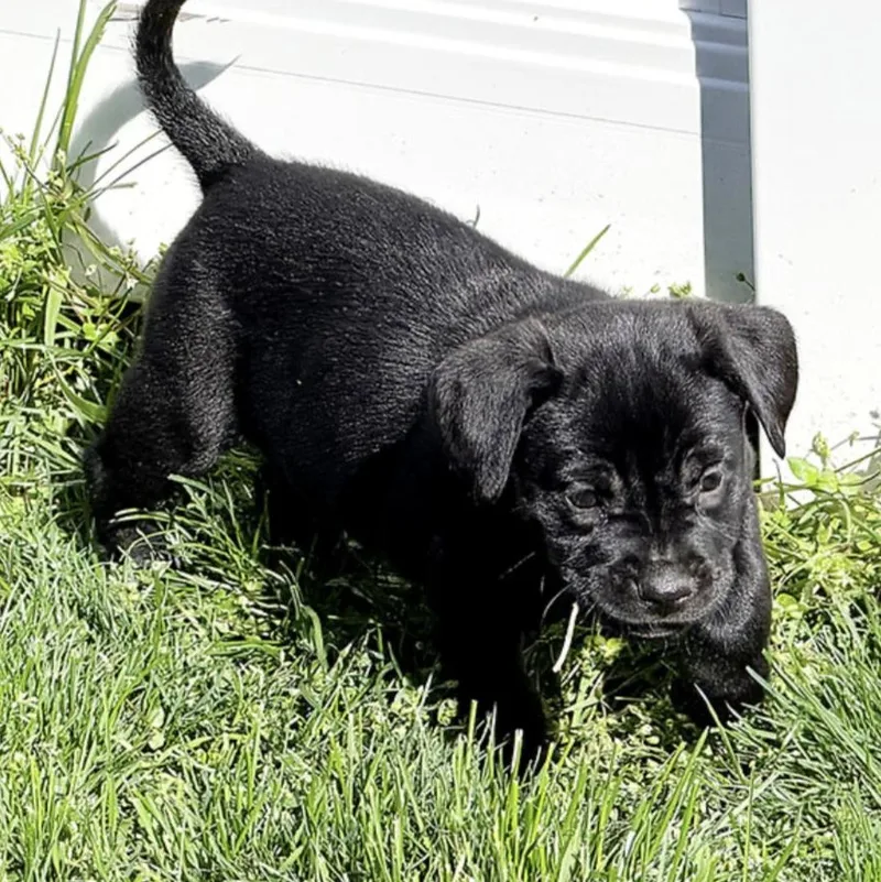 Ruthie