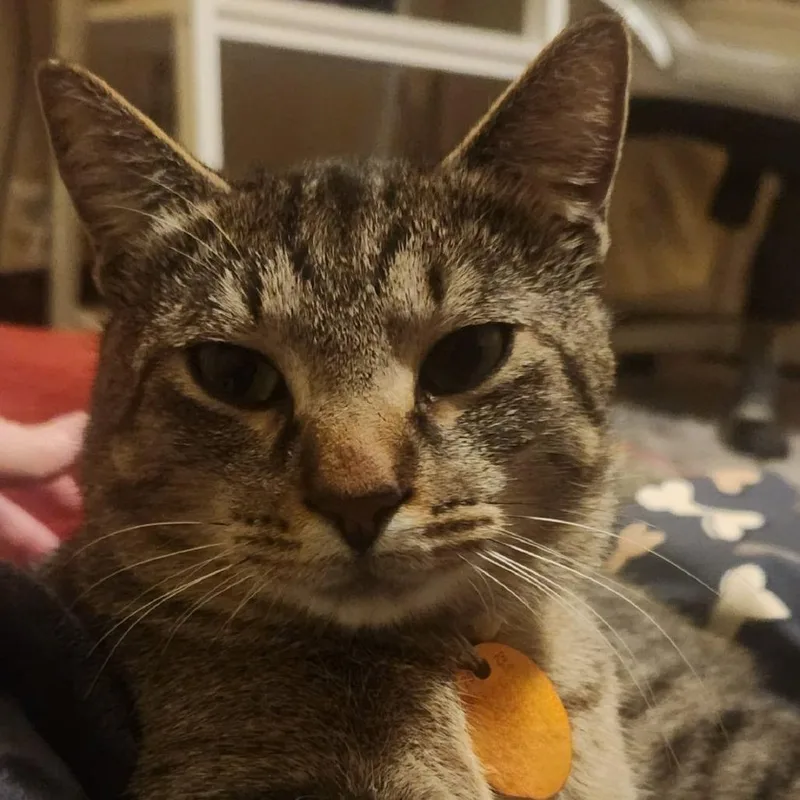 Roberto