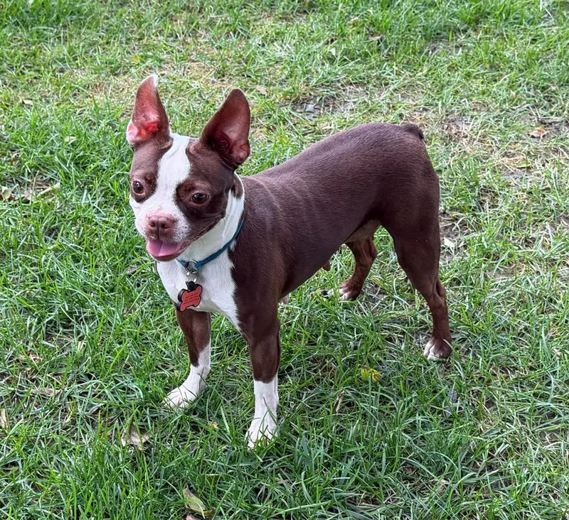 Bella in NE thumbnail 2