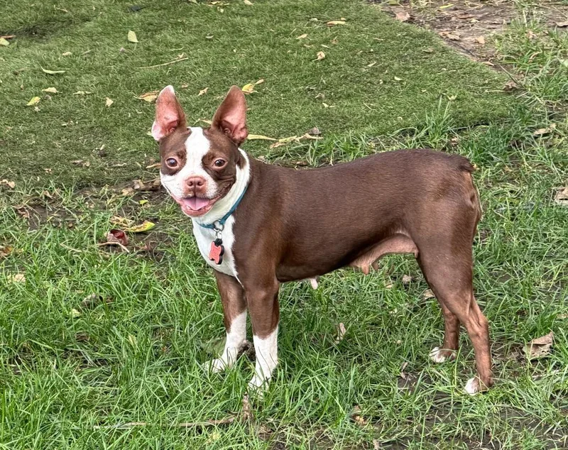 Bella in NE thumbnail 3