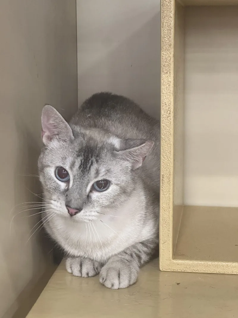 Grace Kelly thumbnail 2