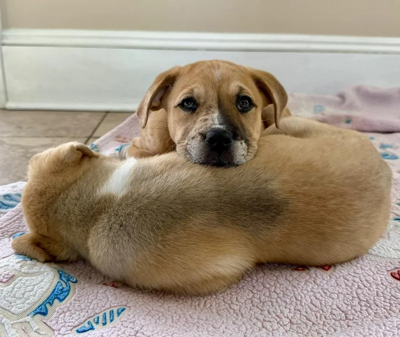 Tayla thumbnail 5