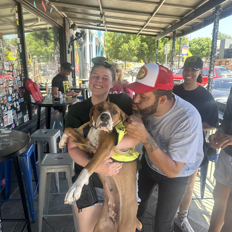 Piper
