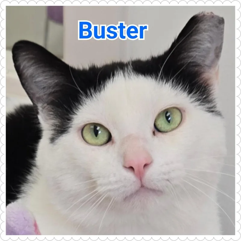 Buster