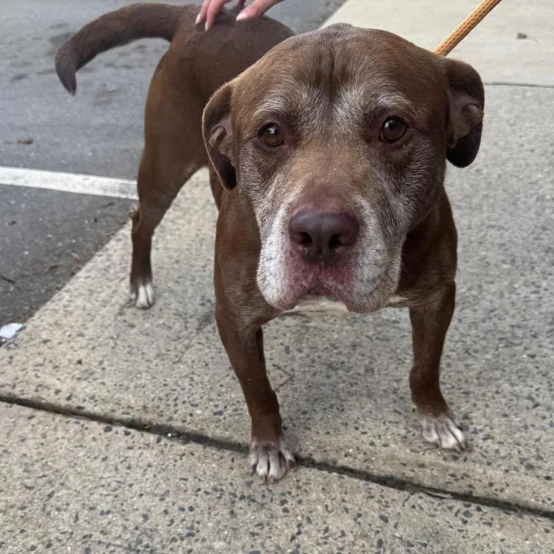 Clarence thumbnail 2