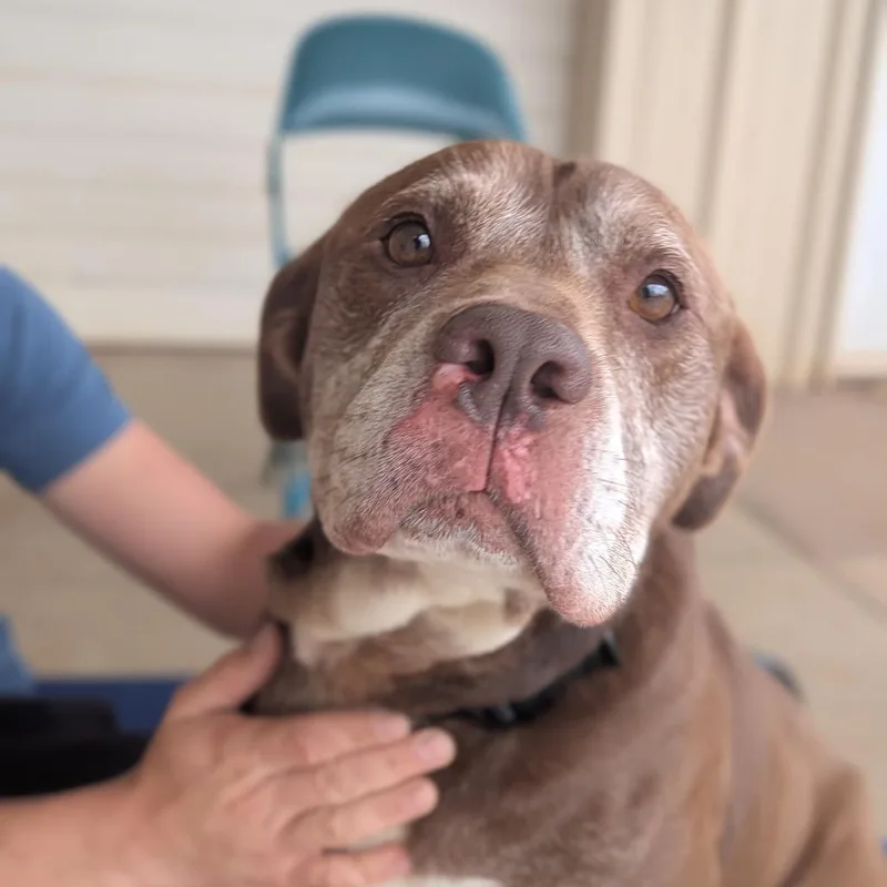 Clarence thumbnail 5