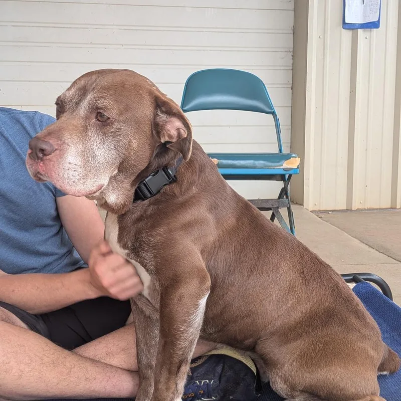 Clarence thumbnail 6