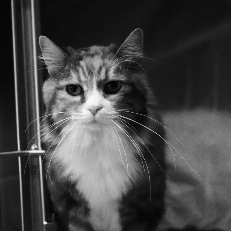 Tabitha thumbnail 2