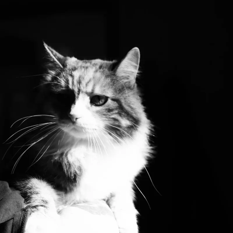 Tabitha thumbnail 3