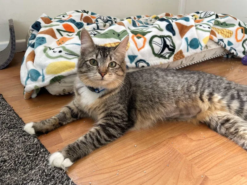 Marilyn Monroe thumbnail 2