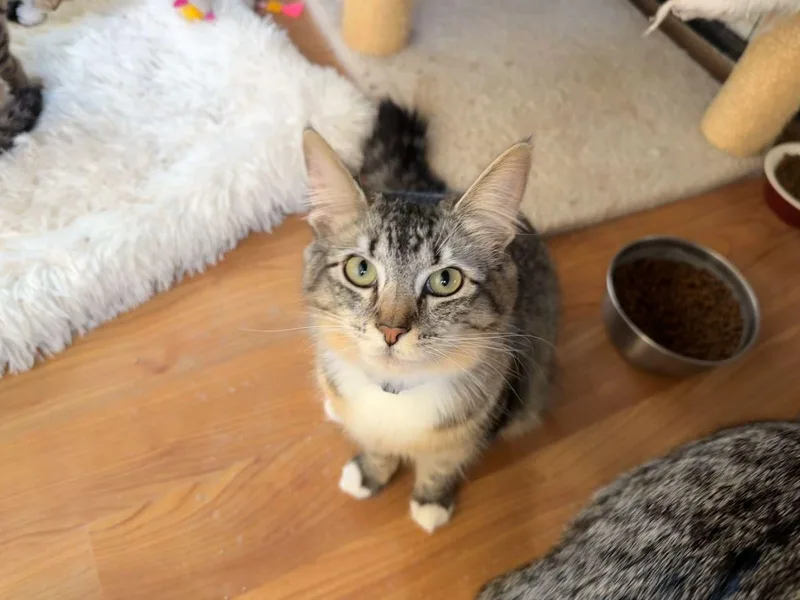 Marilyn Monroe thumbnail 3