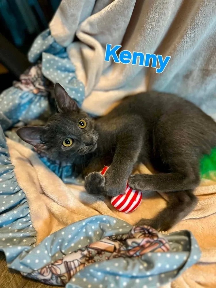 Kenny thumbnail 2