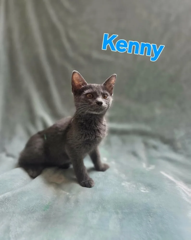 Kenny thumbnail 4