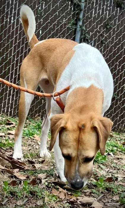 Harper Charles thumbnail 2