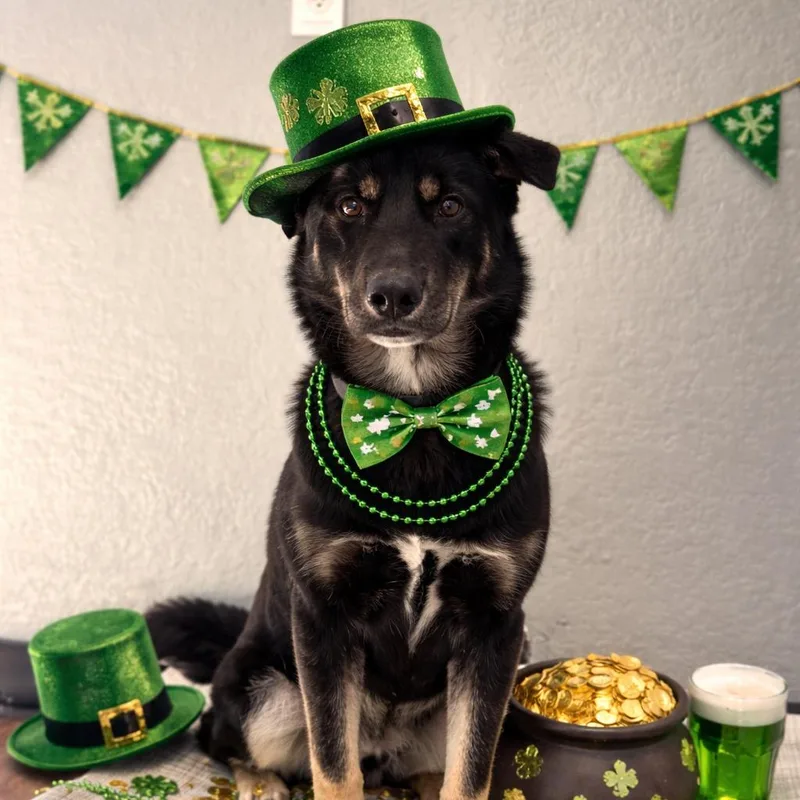 Boudreaux thumbnail 3