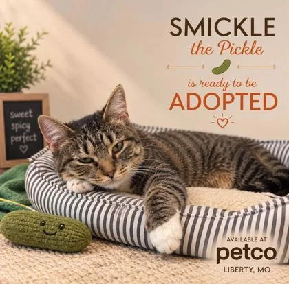 Smickle The Pickle