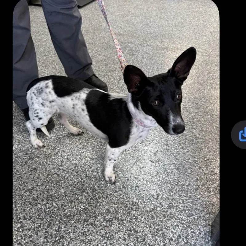 Irma Gerd thumbnail 2