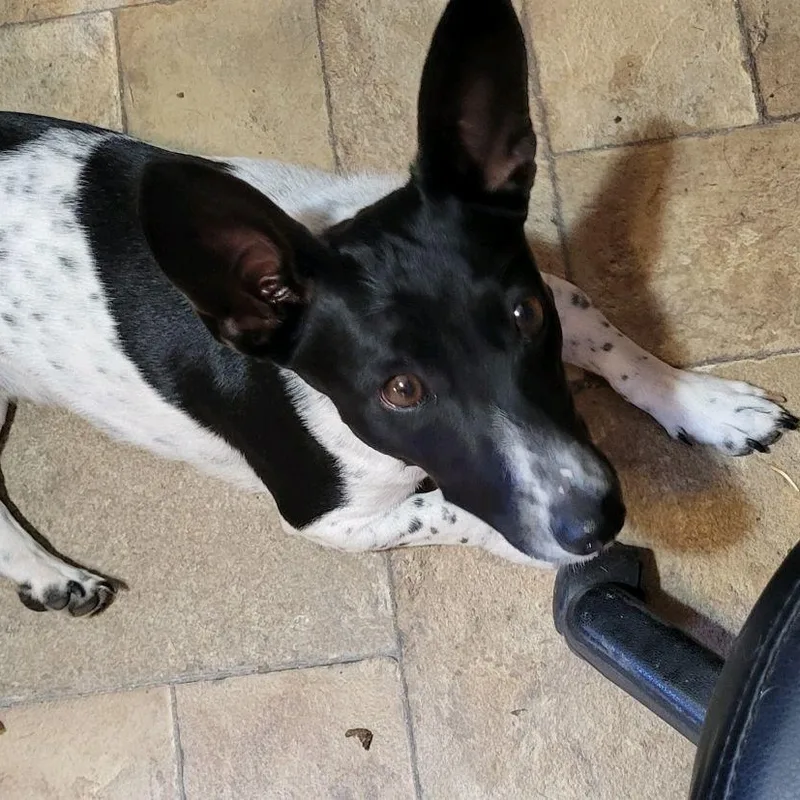 Irma Gerd thumbnail 3