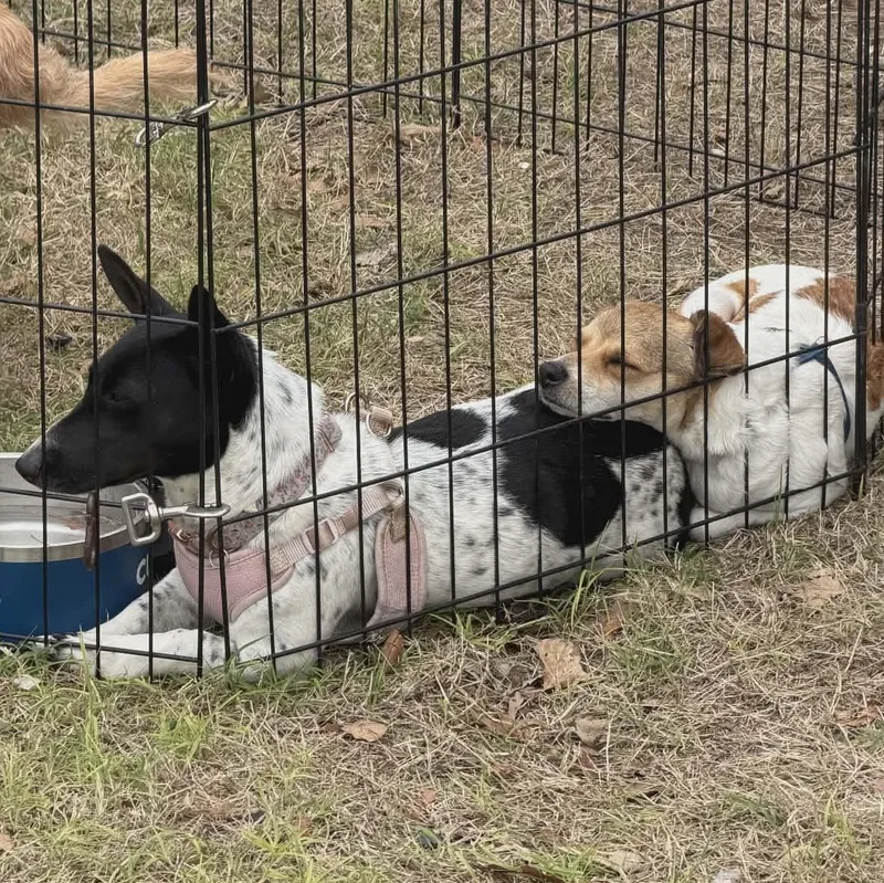 Irma Gerd thumbnail 4