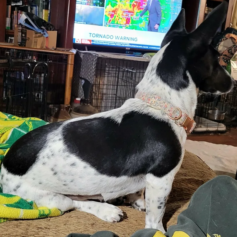 Irma Gerd thumbnail 5