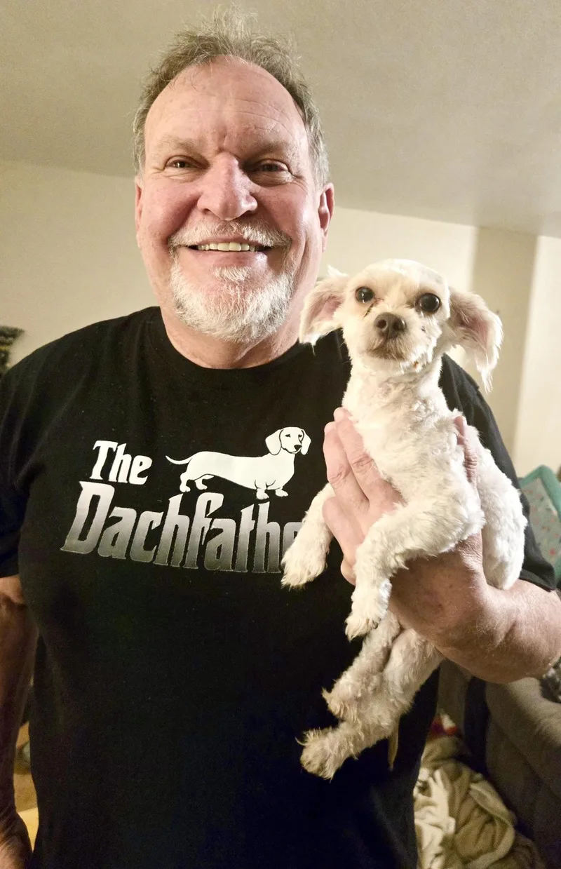 A baby small-sized male Toy Poodle dog named Bran for adoption in San Diego, CA