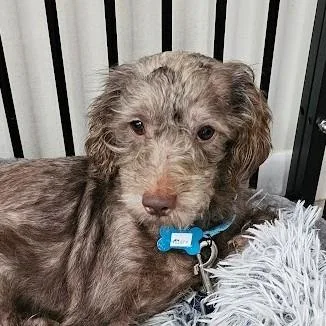 Rusty