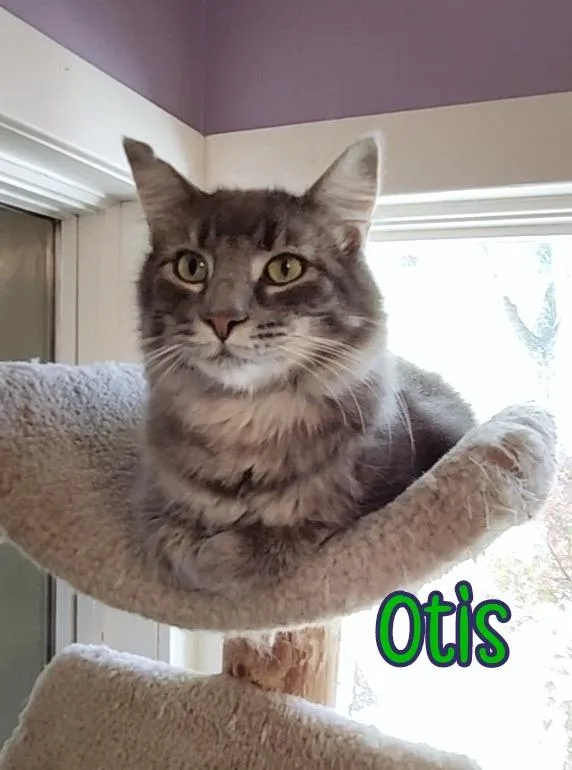Otis thumbnail 2