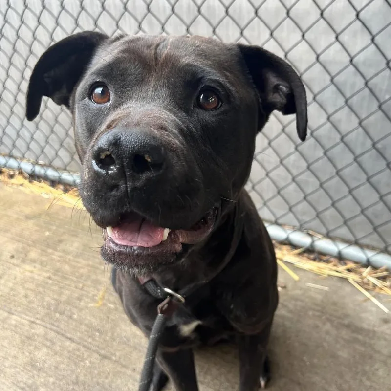 Shelilah thumbnail 5