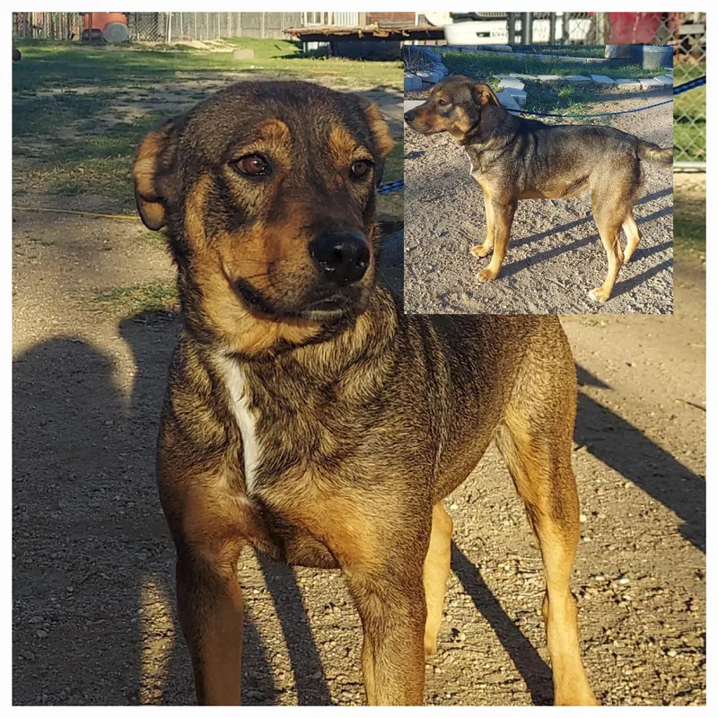 Bernadine thumbnail 2