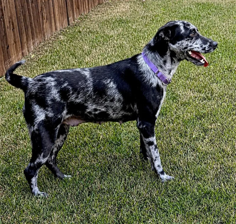 Olivia  Rhode Island