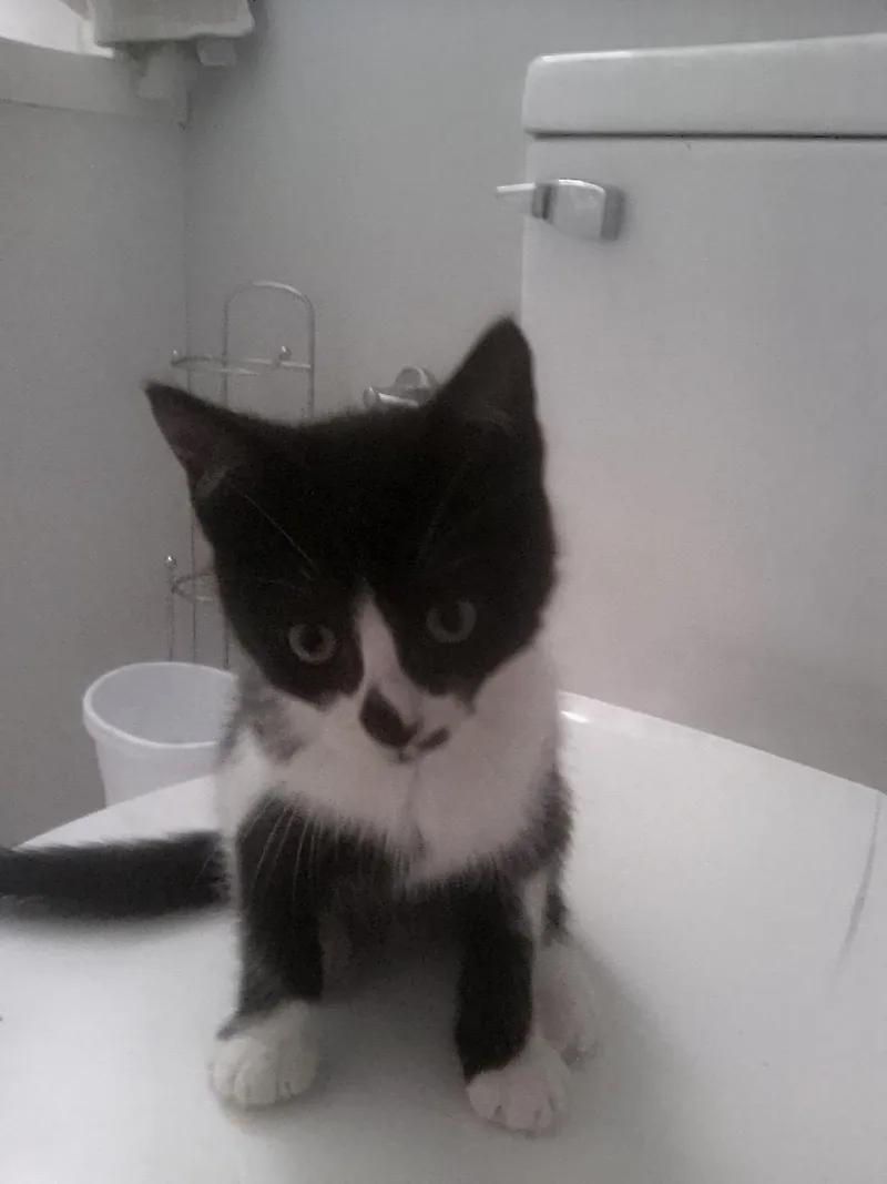 Russ Hoopes thumbnail 3