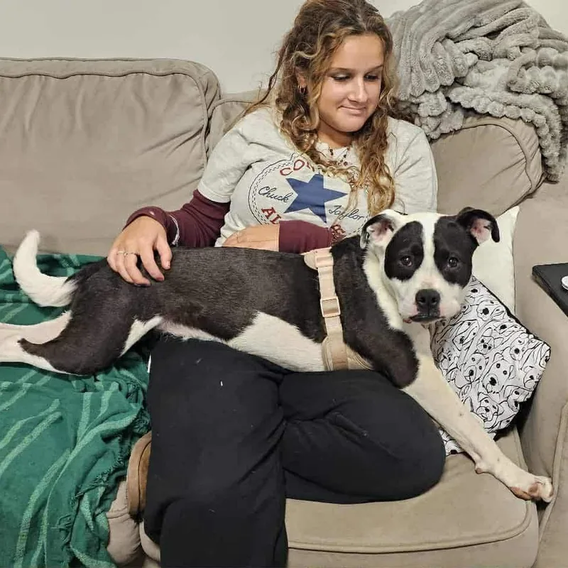 Windixie thumbnail 2