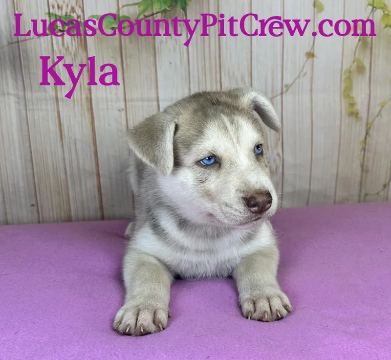 Kyla thumbnail 2