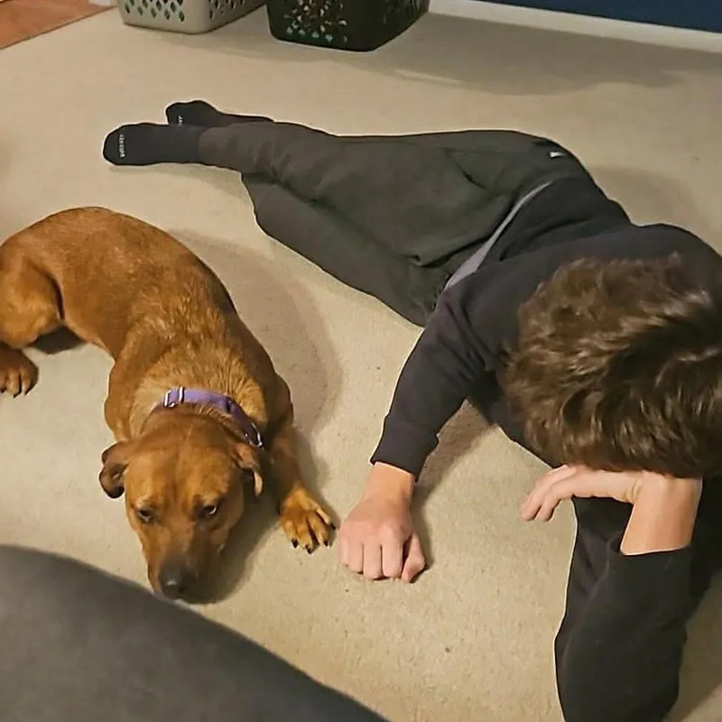 Gertrude thumbnail 3