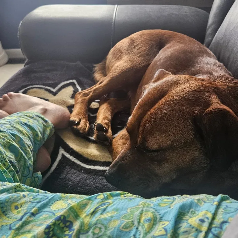 Gertrude thumbnail 4