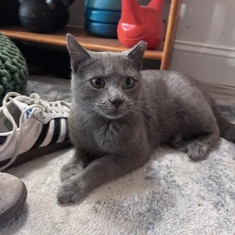 Stormy Hadfield thumbnail 2