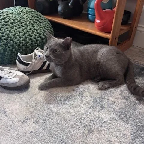 Stormy Hadfield thumbnail 3