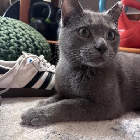 Stormy Hadfield thumbnail 4