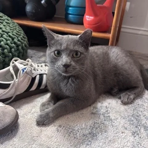 Stormy Hadfield thumbnail 5