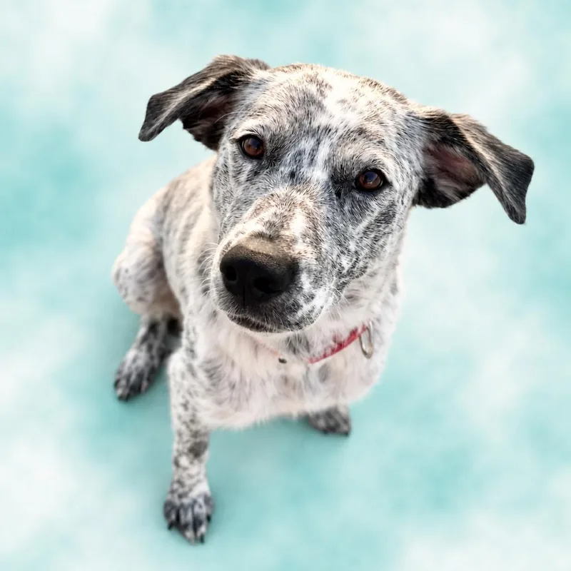 Loretta Lynn thumbnail 6