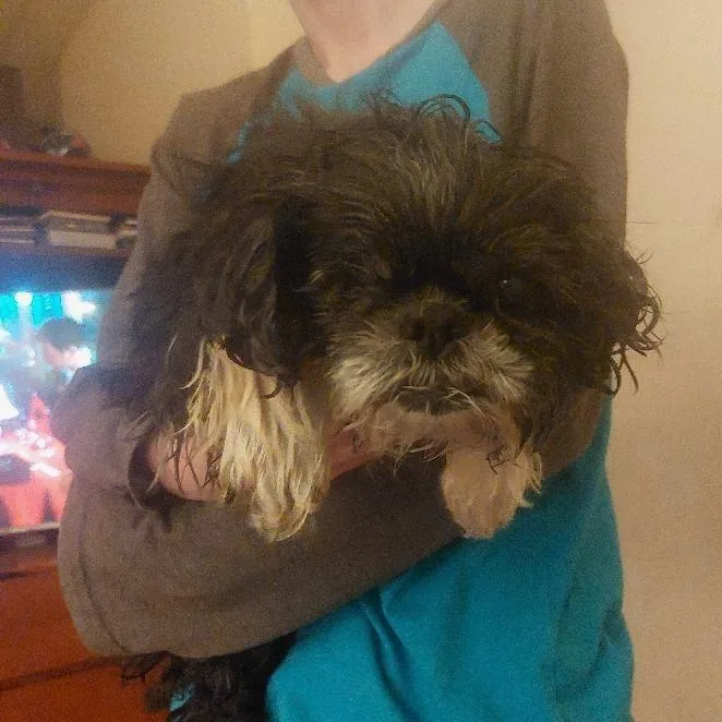 Bridgette thumbnail 2