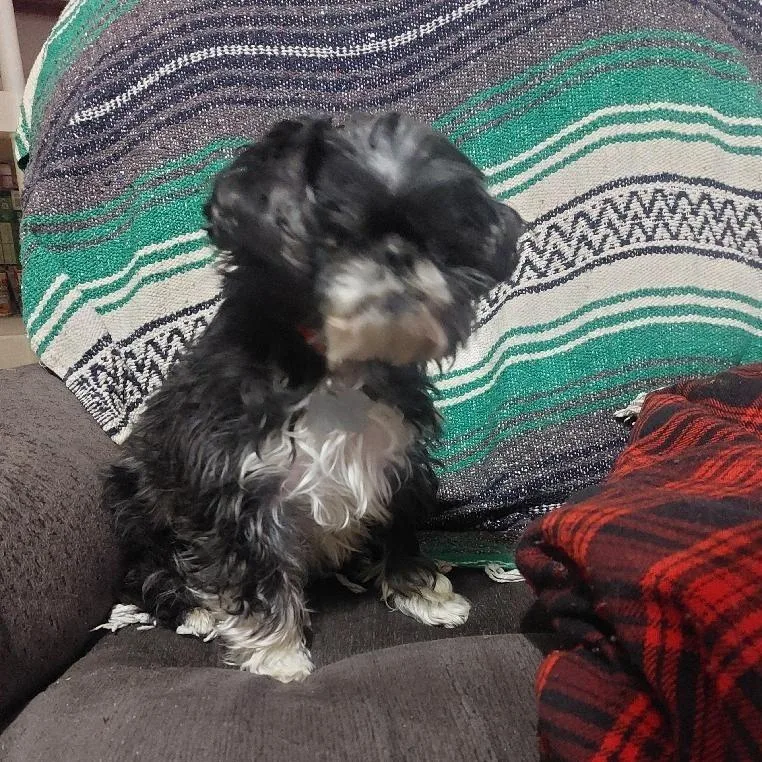 Bridgette thumbnail 3