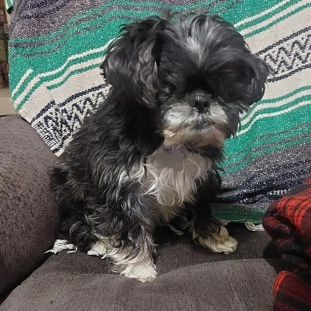 Bridgette thumbnail 5