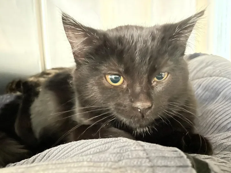 Mia Pepper thumbnail 2