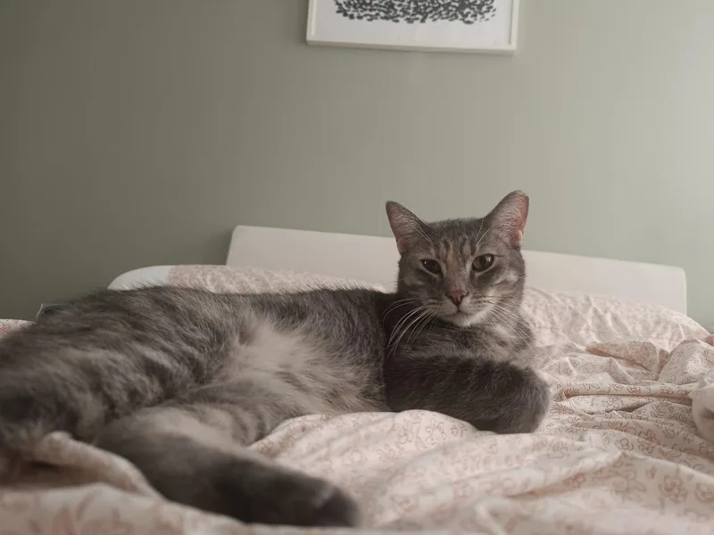 Sophie thumbnail 6
