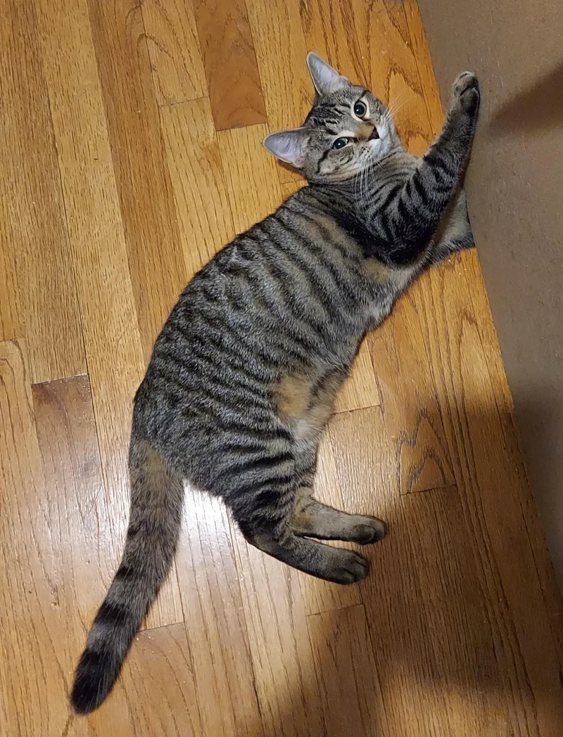 Thomasina And Gayle thumbnail 3