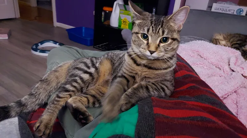 Thomasina And Gayle thumbnail 4