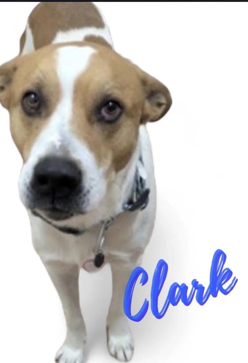 Clark