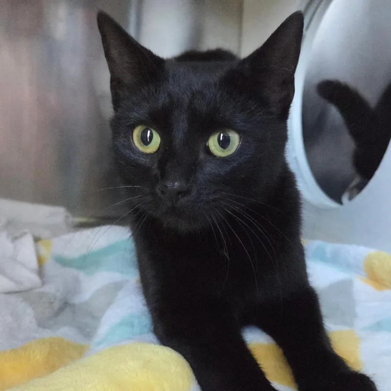 Pepperdine thumbnail 2