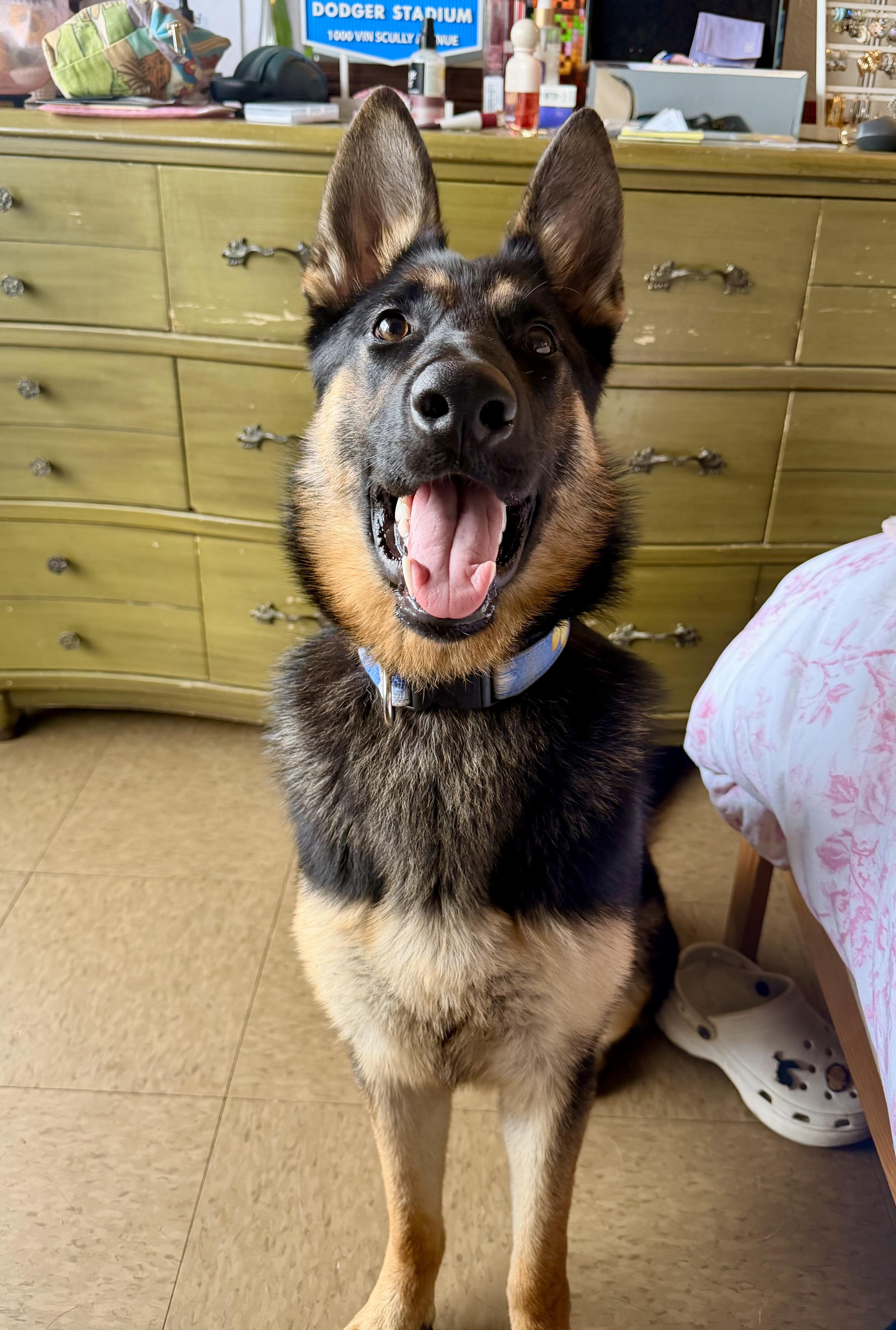 Nova Affectionate  Wonderful thumbnail 3